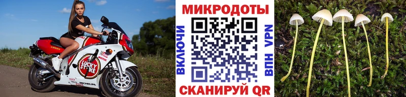 Псилоцибиновые грибы GOLDEN TEACHER  blacksprut зеркало  Аксай 